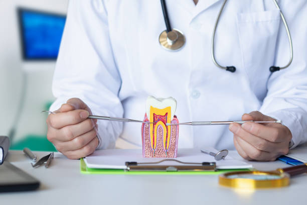 Best Emergency Dental Care for Trauma or Injury in Ontonagon, MI